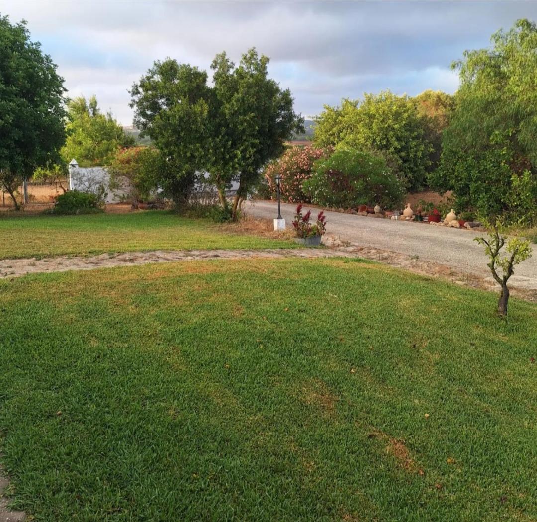 Casa Rural El Nino Santamaria , Con Piscina Y Wifi Вьер де ла Фронтера Экстерьер фото